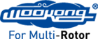 Wookong Multi logo.png