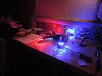 IMG_0876.jpg