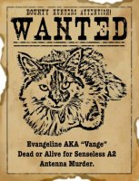 WANTED.jpg