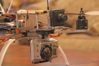 IMG_2616.jpg