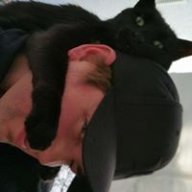 monty134